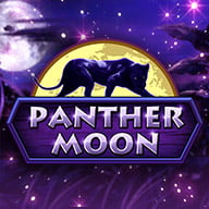 Panther Moon