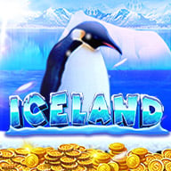 Ice Land