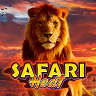 Safari Heat