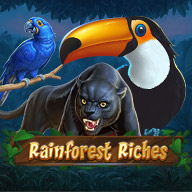 Rainforest Riches